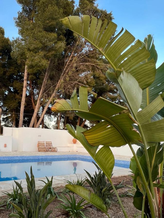 Boutique B&B Casa 381 - Adults Only Jávea Exteriér fotografie